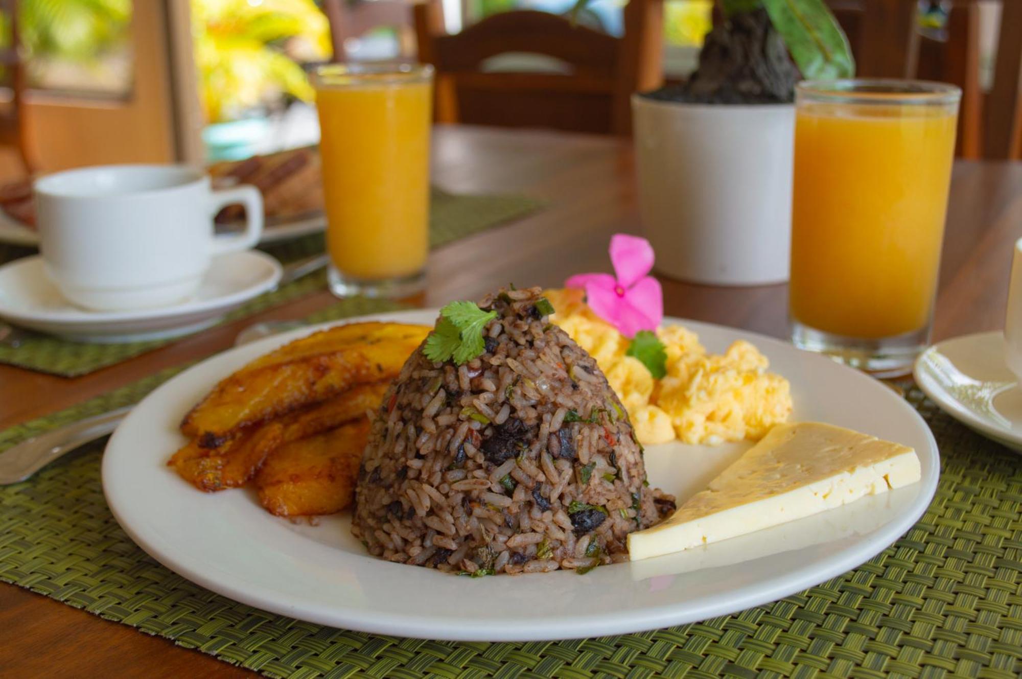 Arenal Roca Lodge & Bungalows ラ・フォルトゥナ エクステリア 写真
