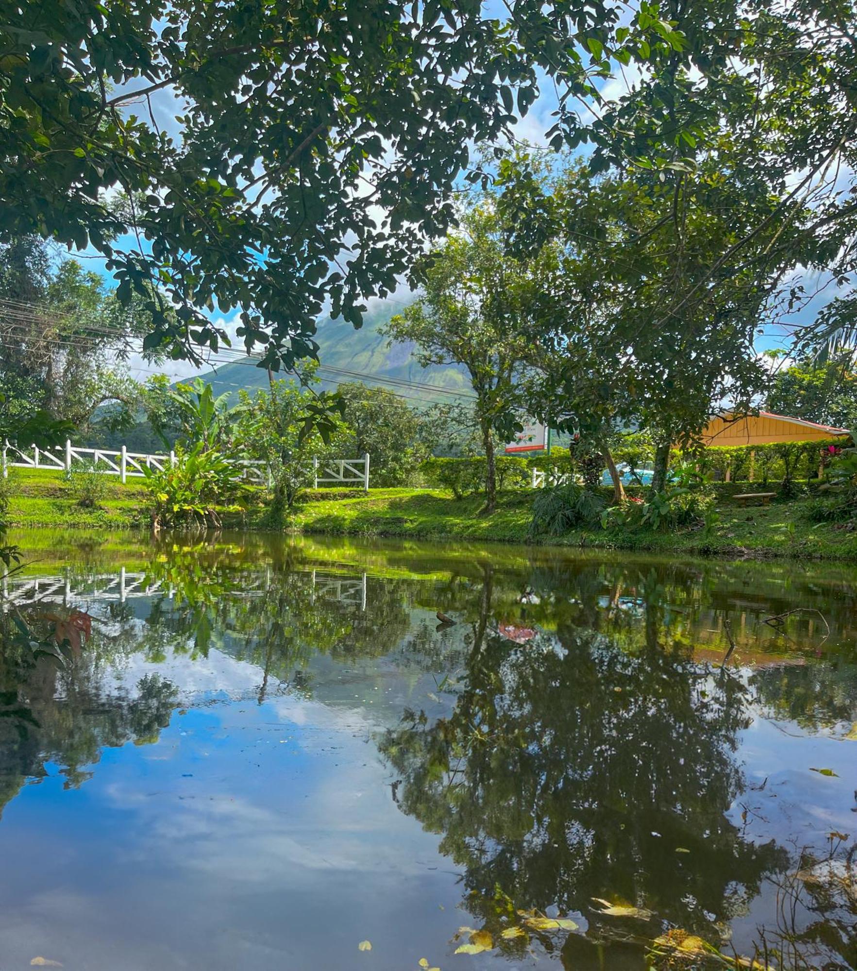 Arenal Roca Lodge & Bungalows ラ・フォルトゥナ エクステリア 写真